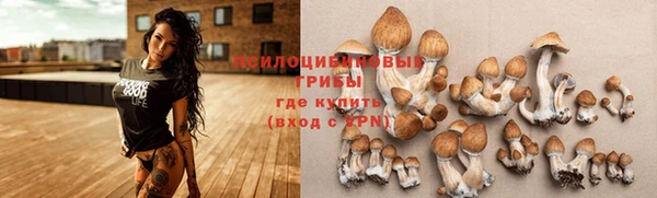 синтетический гашиш Белокуриха