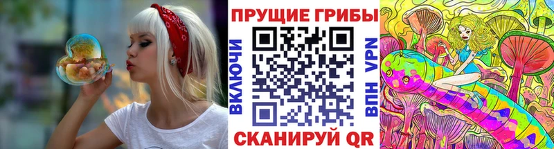 kraken вход  Кузнецк  Галлюциногенные грибы прущие грибы  наркошоп 